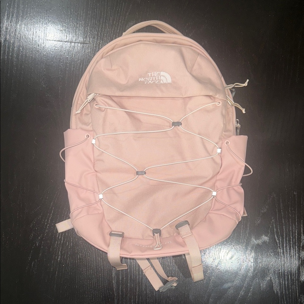 The North Face Borealis Backpack (Used)